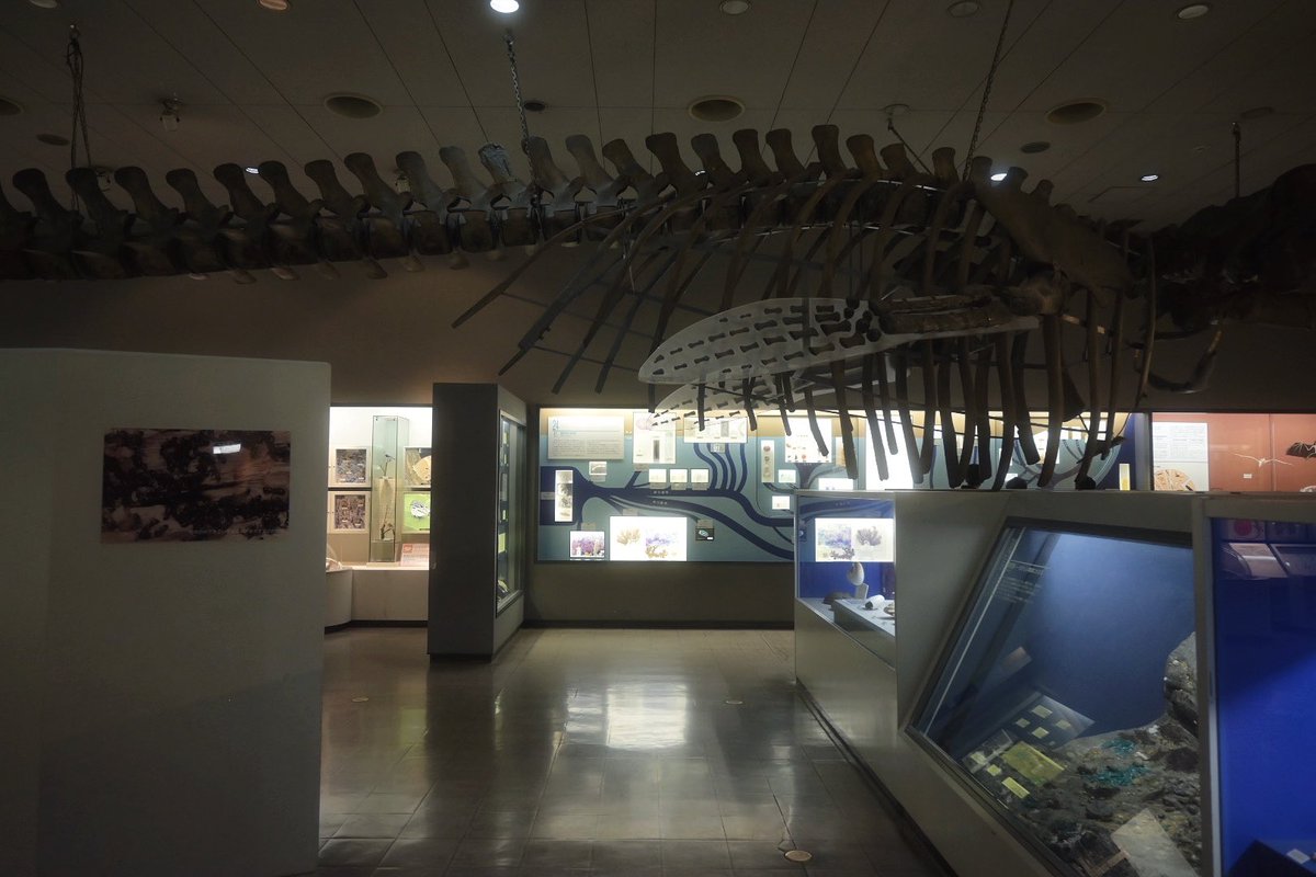 nagi𓅫⸒⸒ tweet media