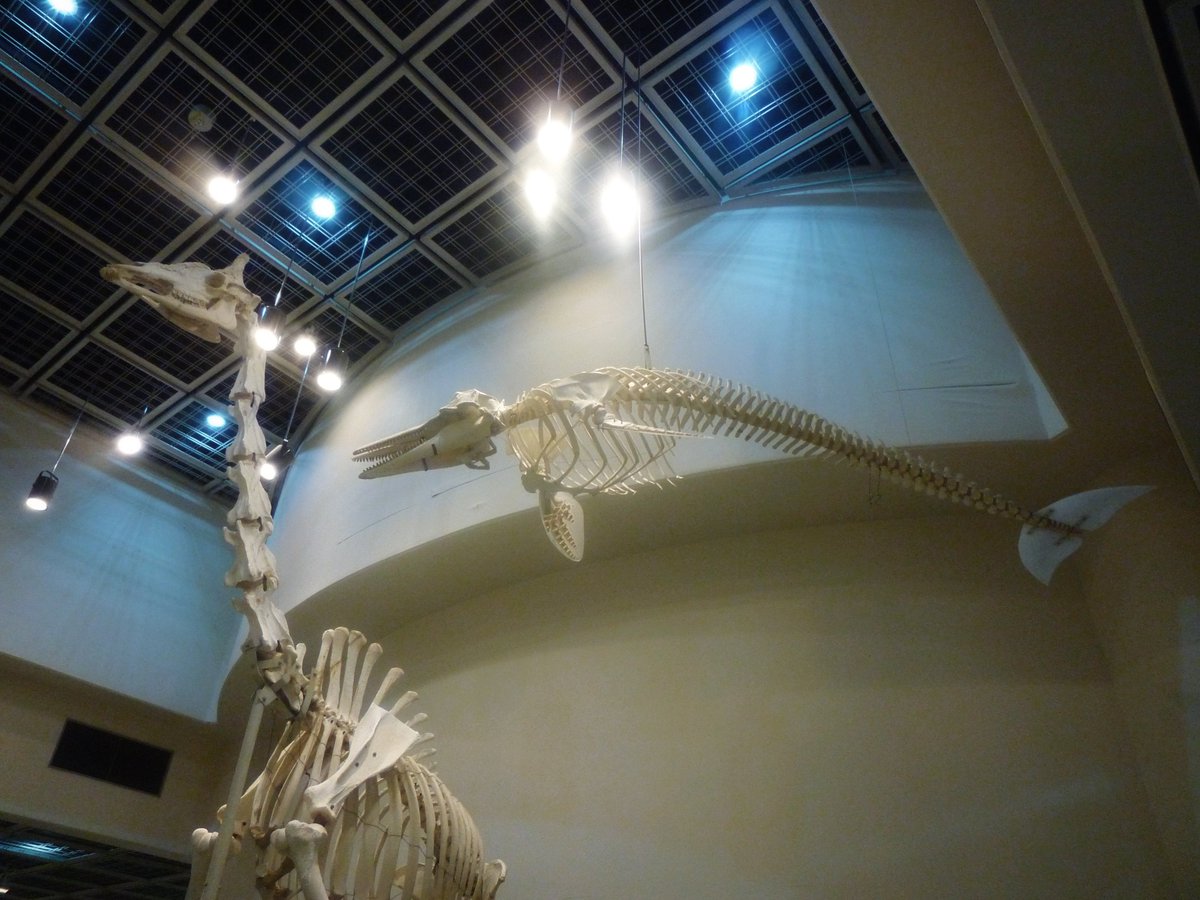 nagi𓅫⸒⸒ tweet media