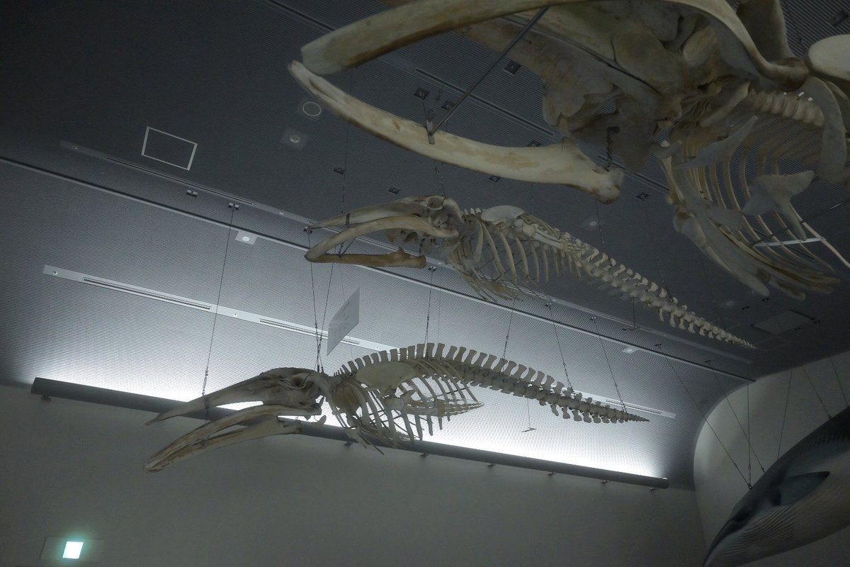 nagi𓅫⸒⸒ tweet media