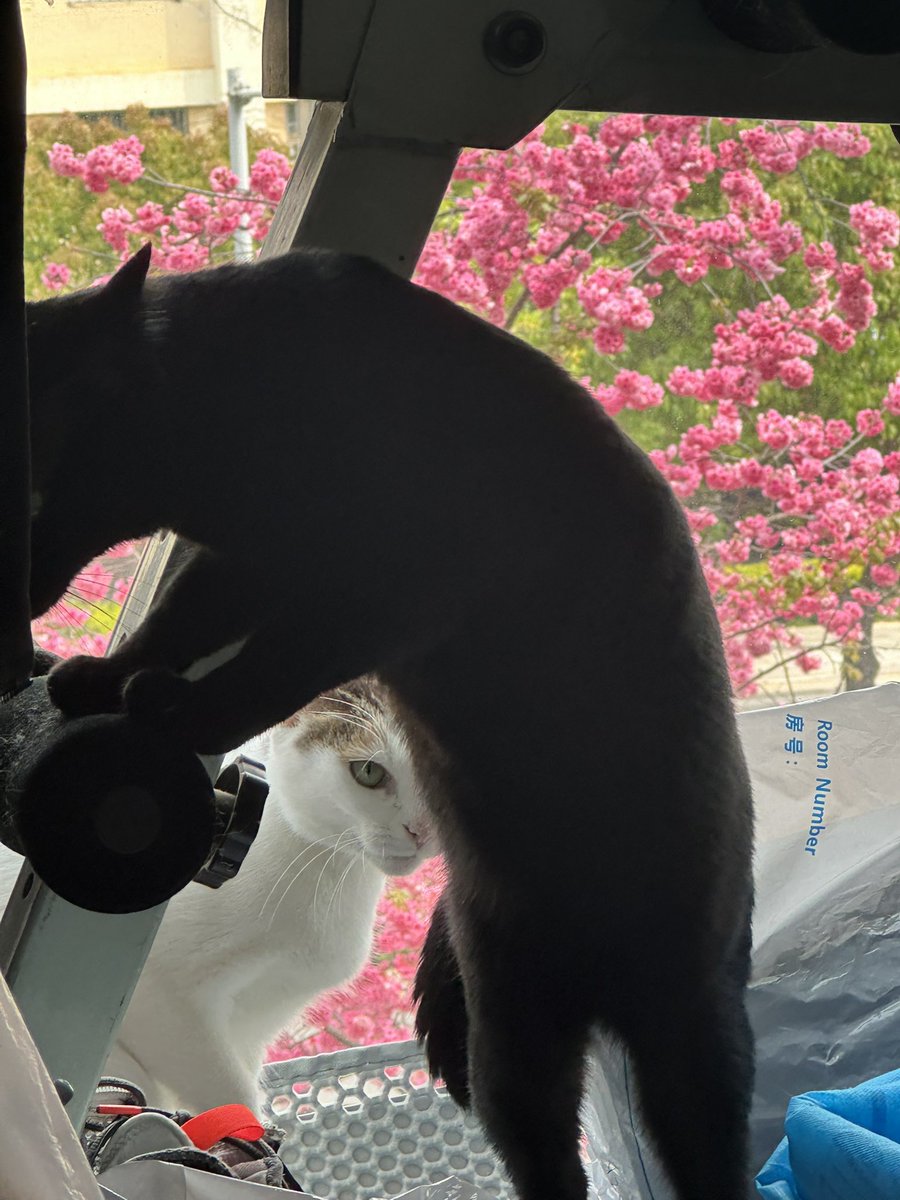 RuBarryM tweet media