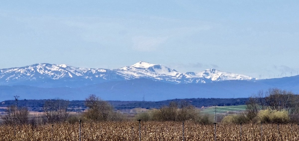 Montes Aquilianos desde el Páramo leonés... En verano vestían en negro... En fin invierno visten blanco... Esperemos que en primavera vistan en verde... Buenas tardes.