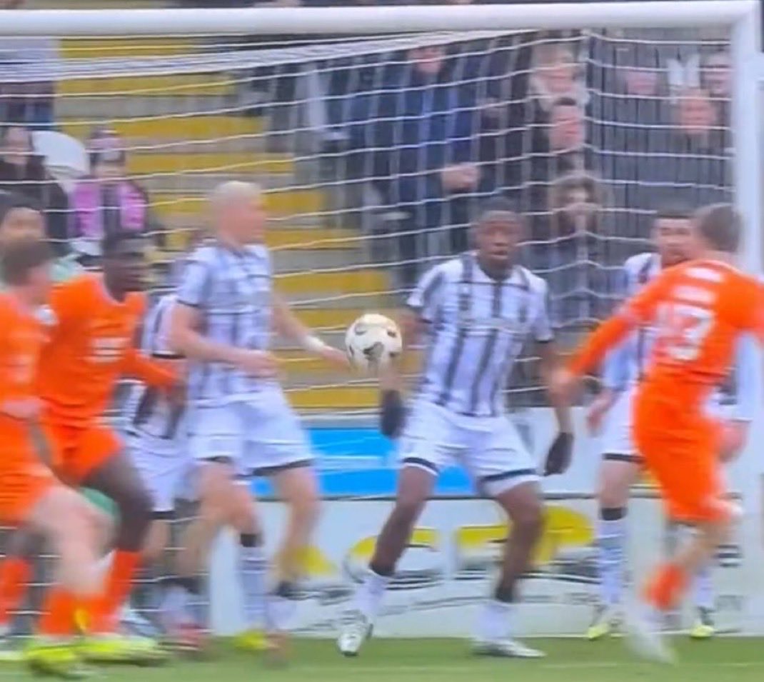 BoJaM 🇬🇧 tweet media