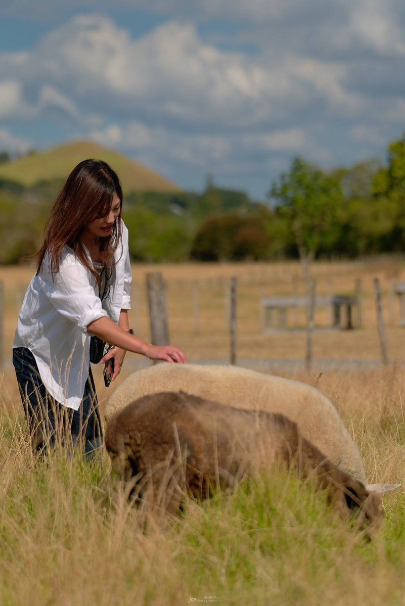 Joe 𝕏 上鍵 忠志 (じょうかぎ ただし) 🇳🇿 tweet media