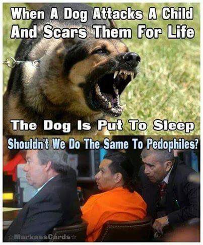 Moxie WSI tweet media