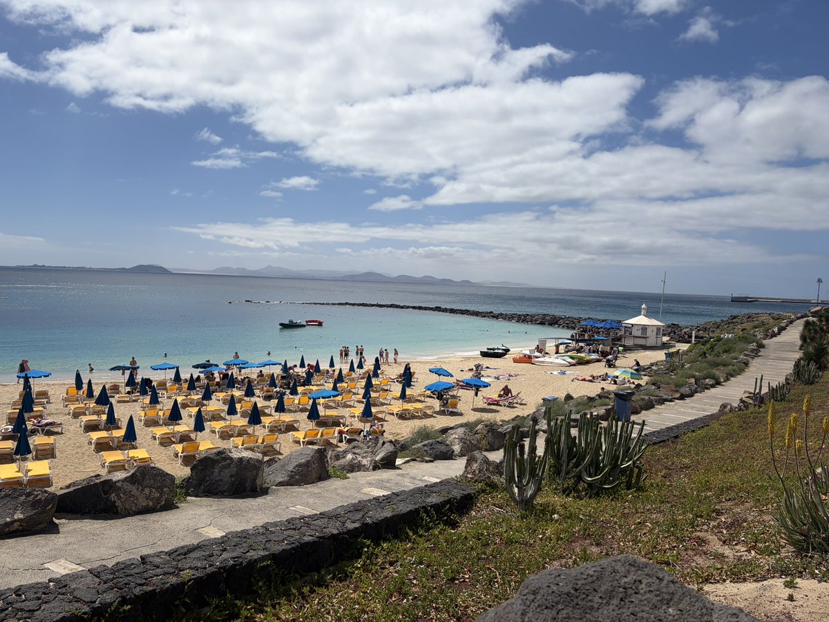 Lisa P 🏴󠁧󠁢󠁷󠁬󠁳󠁿 tweet media