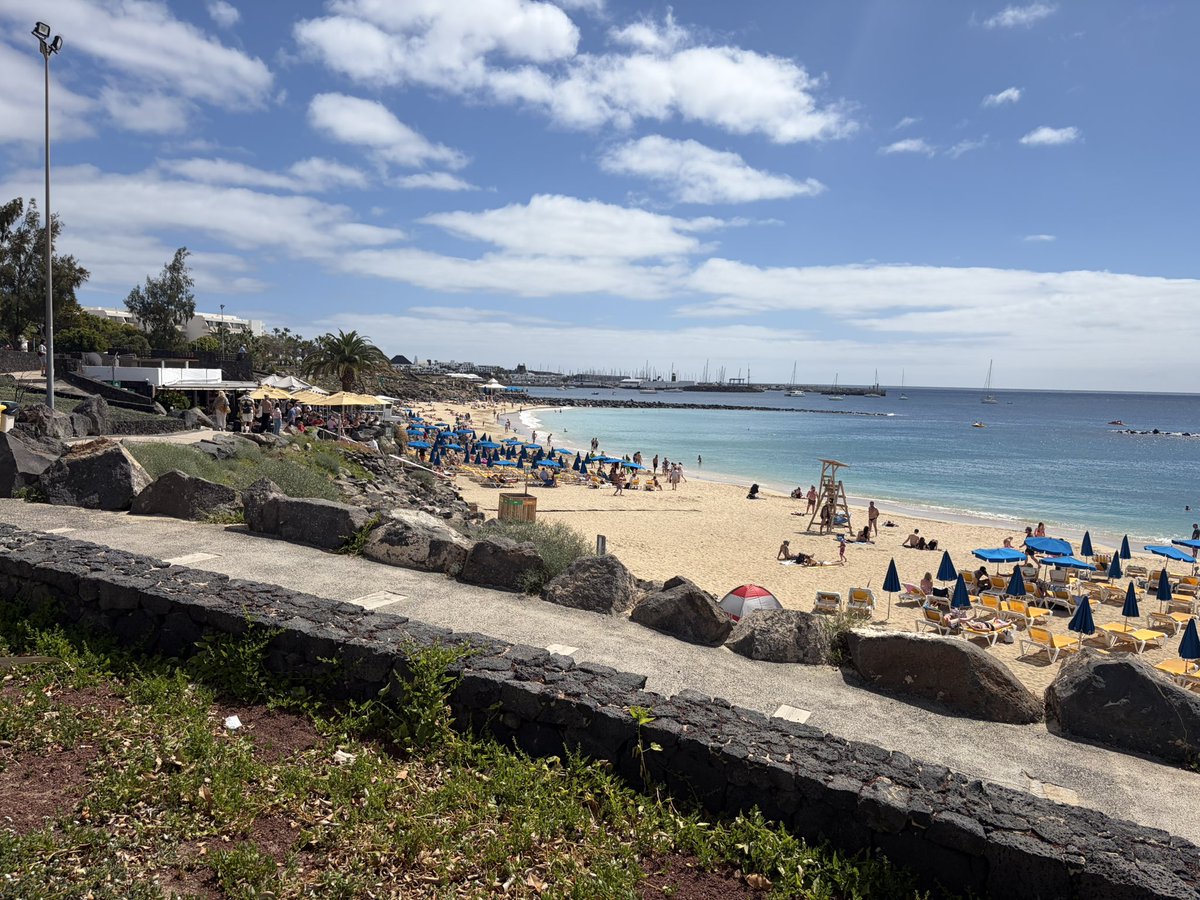 Lisa P 🏴󠁧󠁢󠁷󠁬󠁳󠁿 tweet media