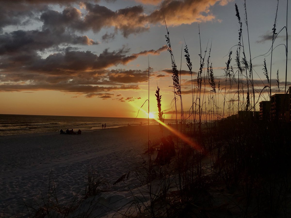 David NItz tweet media