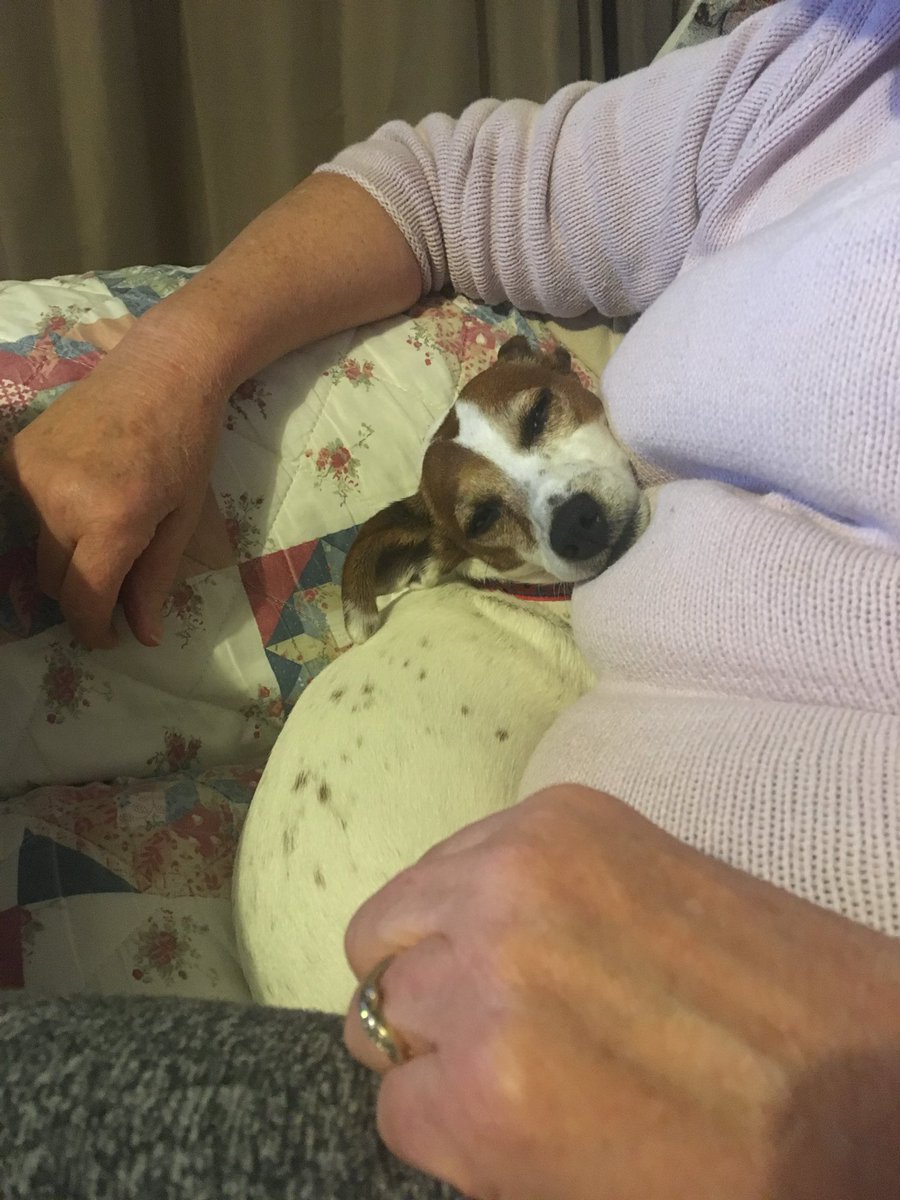 Norman M0JEC💙#WearAMaskSong tweet media