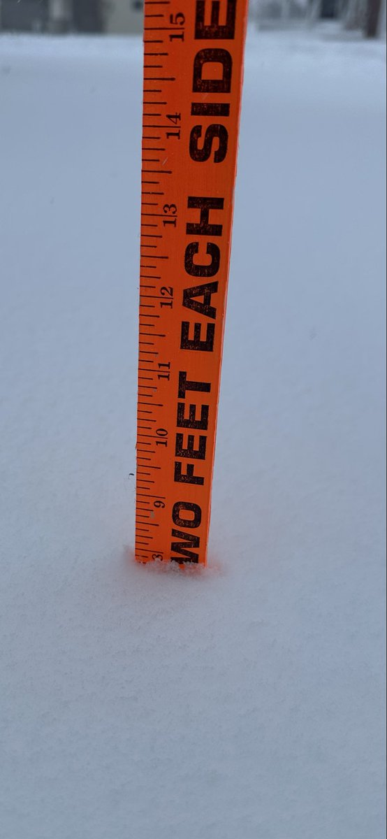 Aaron Worm tweet media