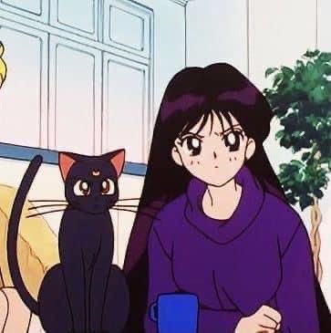 Black cats are not bad luck (@visualscat) on Twitter photo 