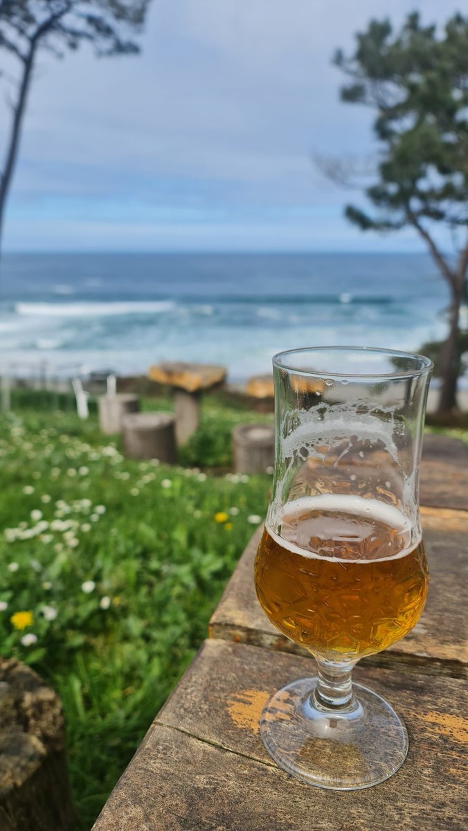 TeresaSSicilia tweet media