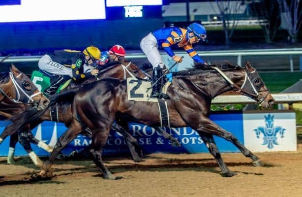 A lukewarm morning line choice for the $1 million Louisiana Derby, don't be surprised if the speedy Chip Honcho is not favored once again. I think he is the one to beat 🏇🔥  
horseracingnation.com/blogs/zatt/Zip…