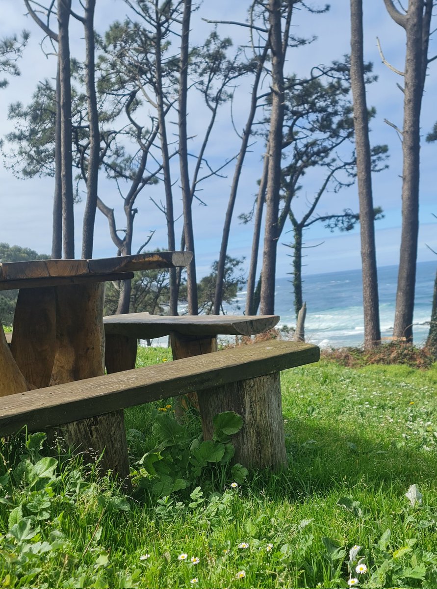 TeresaSSicilia tweet media