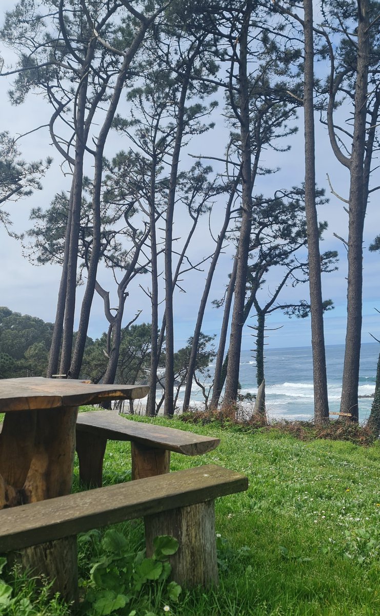 TeresaSSicilia tweet media