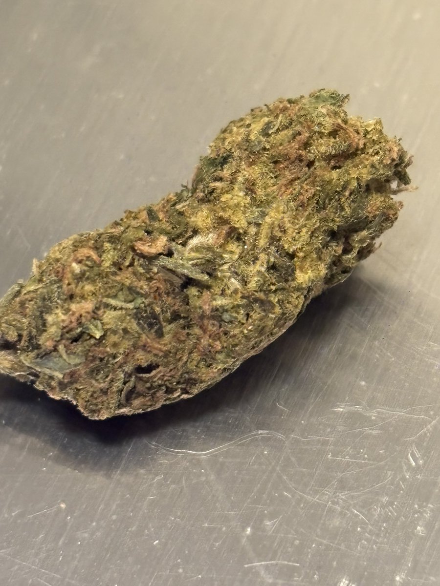 kenji434343 tweet media