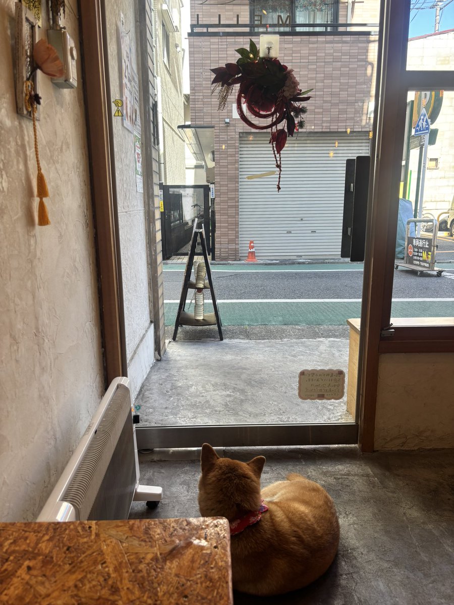 chikitam @ Avvy tweet media