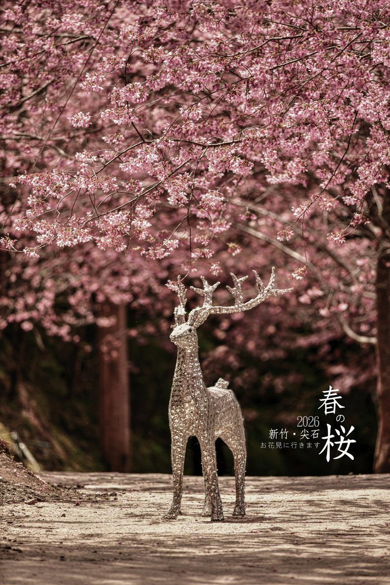 ᵒⁿˡʸBatCats (っ◔◡◔)っ🍭 🇹🇼 tweet media