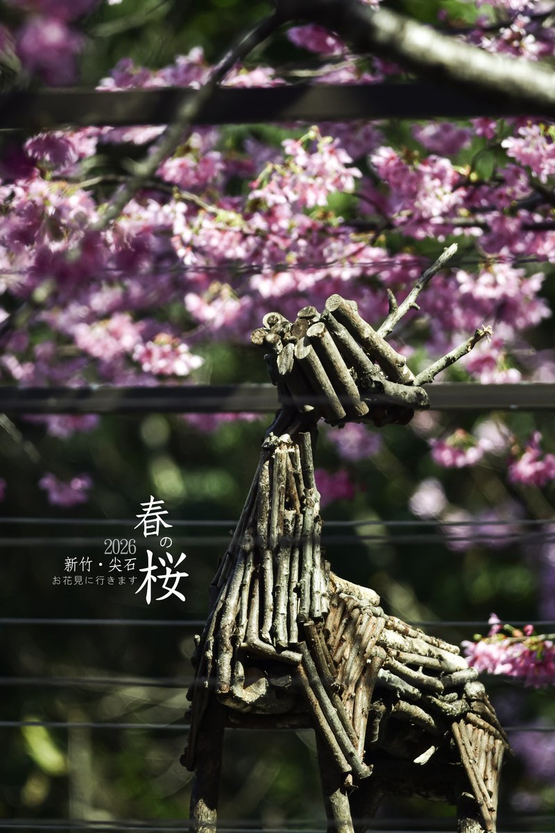 ᵒⁿˡʸBatCats (っ◔◡◔)っ🍭 🇹🇼 tweet media