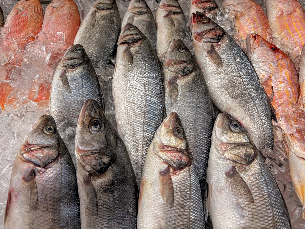 Carmi Levy tweet media