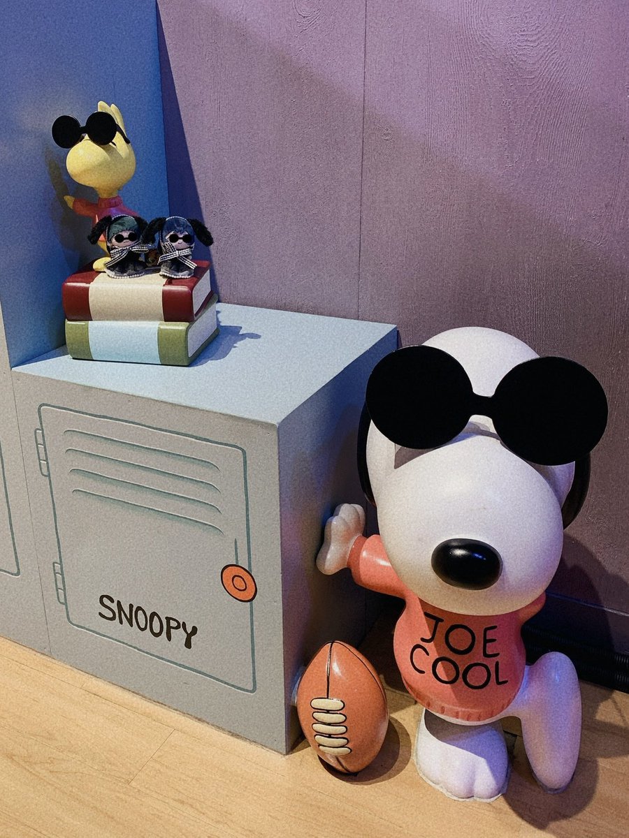 #はもぬいちゃんといっしょ 🕶️