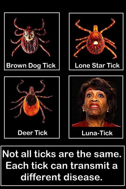 JoDell Stansel tweet media