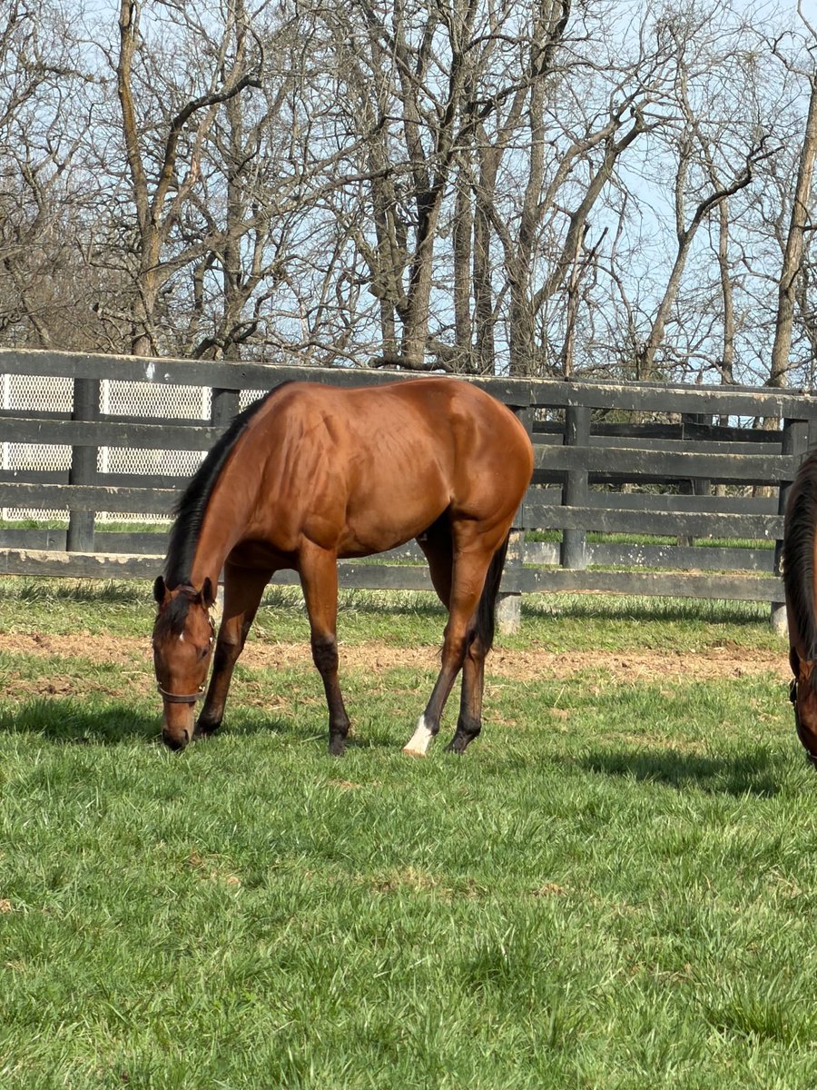 Jeff Lifson tweet media