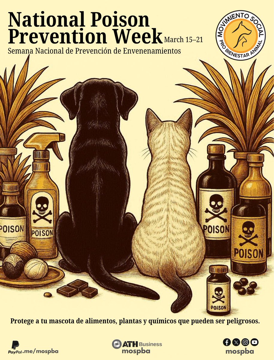 Movimiento Social Pro Bienestar Animal (MOSPBA) tweet media