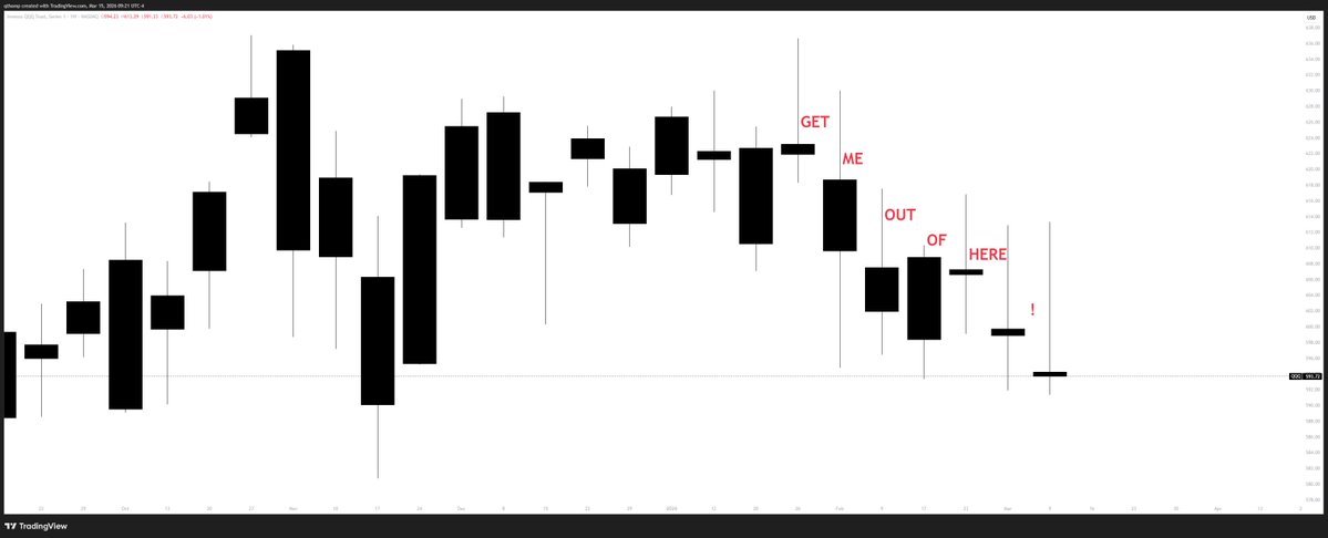 Quinn Thompson tweet media