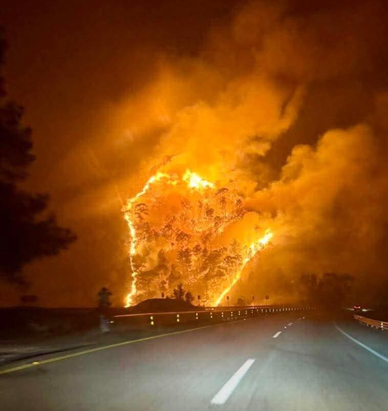 ReporTorres tweet media