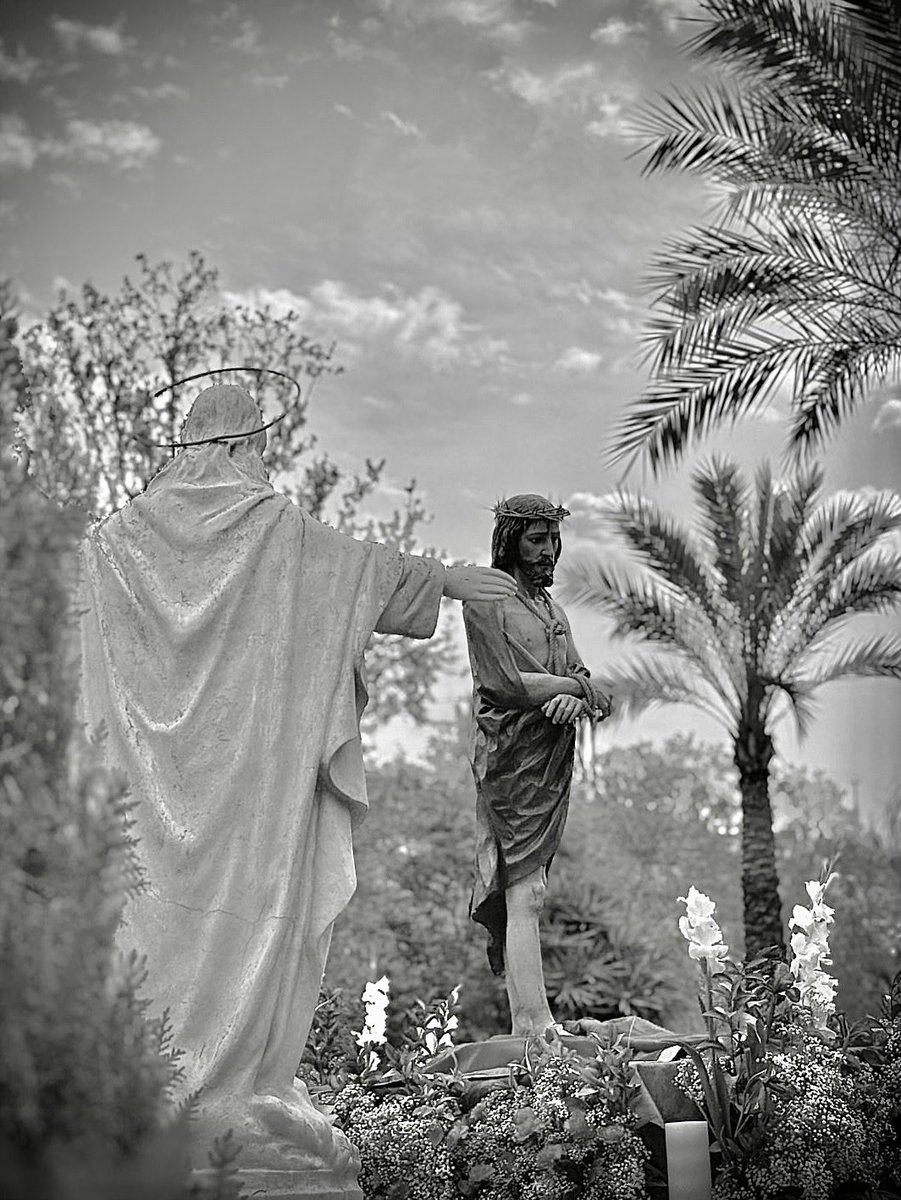 Sagrado Corazón Granada tweet media