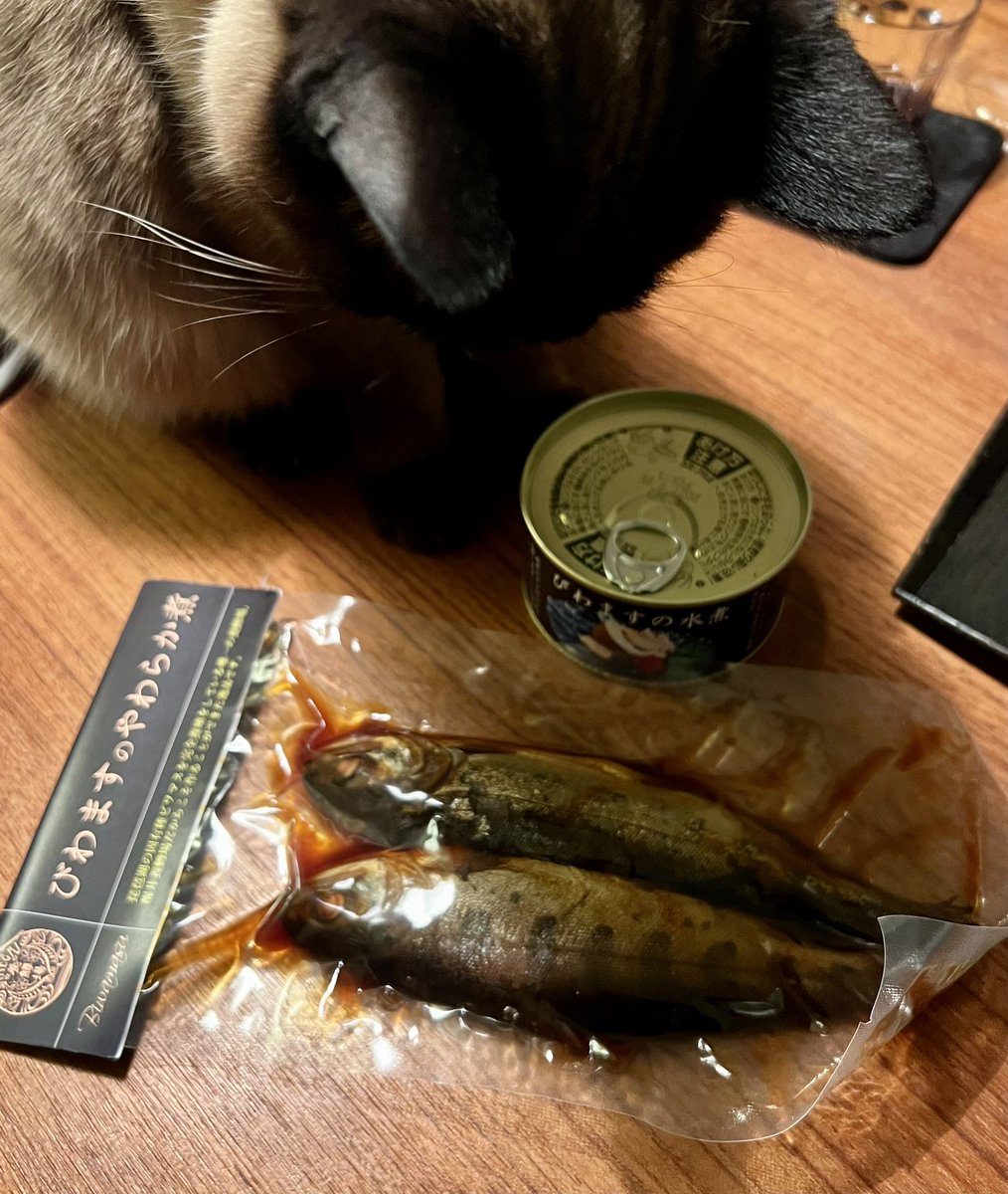 Enzoペスカトーレ tweet media