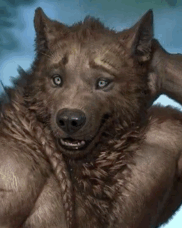 waade | check pinned tweet media