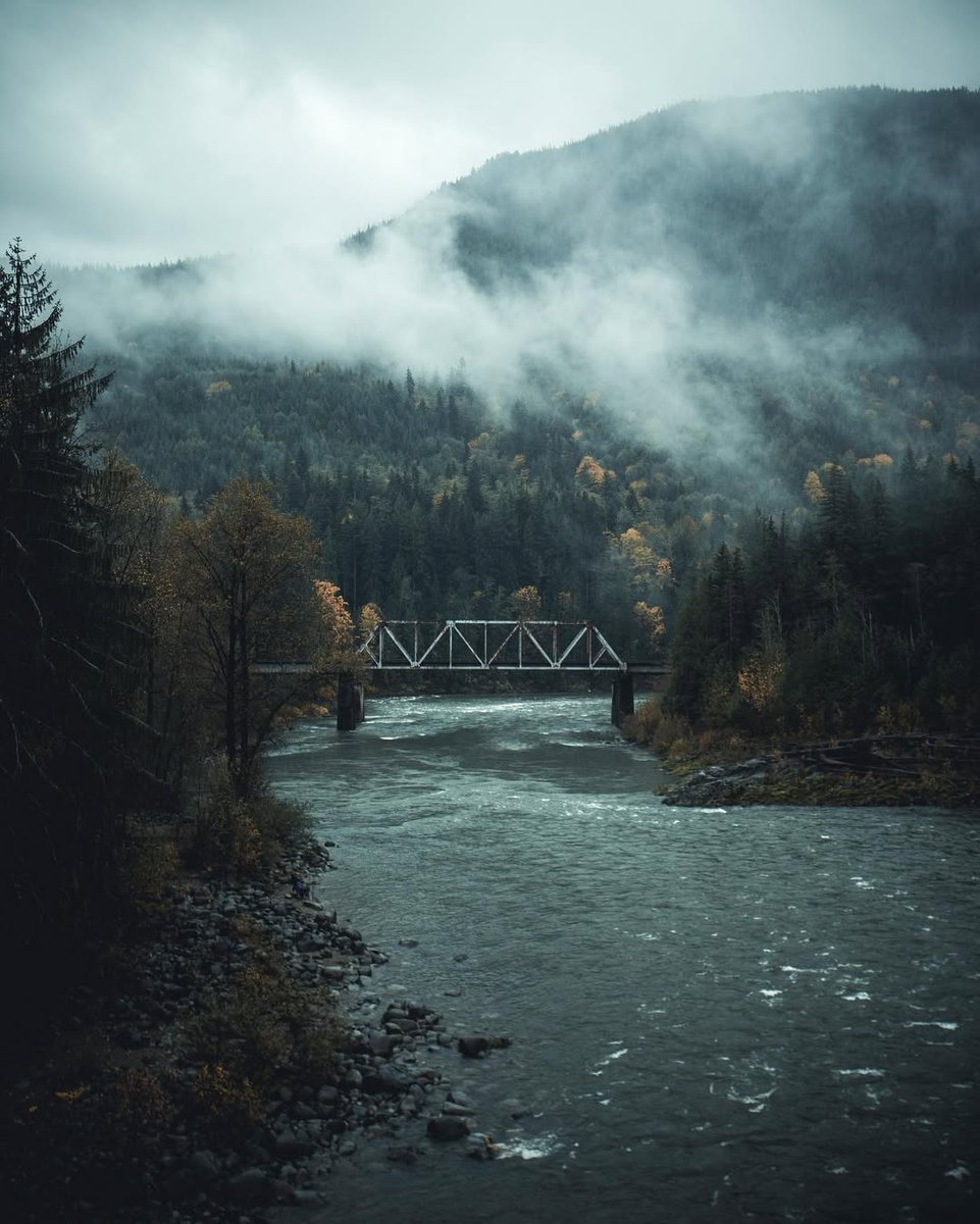 𝘄𝗮𝗻𝗱𝗲𝗿𝘁𝗿𝗮𝘃𝗲𝗹𝘀 tweet media