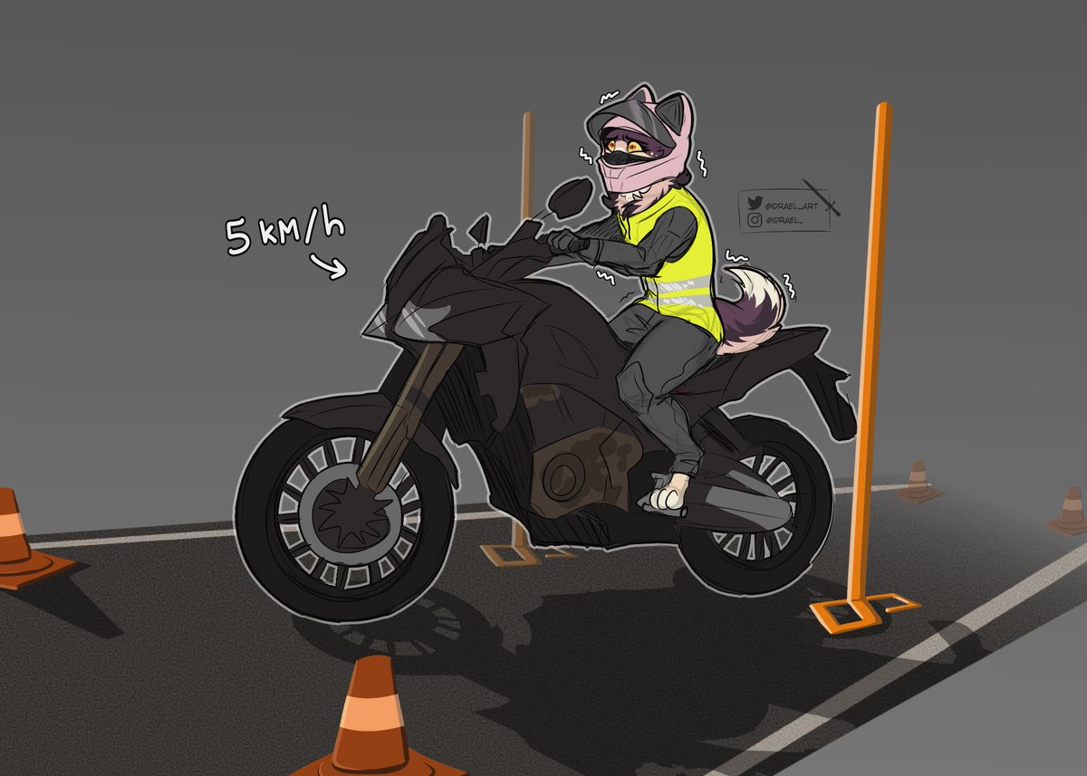Because there’s no reason why I should be the only one struggling to get my motorbike licence... Trixie’s been through it too 

#furry #artistontwitter #digitalart
