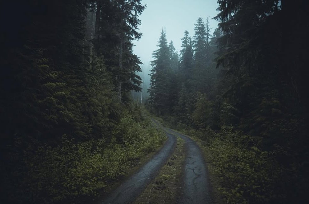 𝘄𝗮𝗻𝗱𝗲𝗿𝘁𝗿𝗮𝘃𝗲𝗹𝘀 tweet media