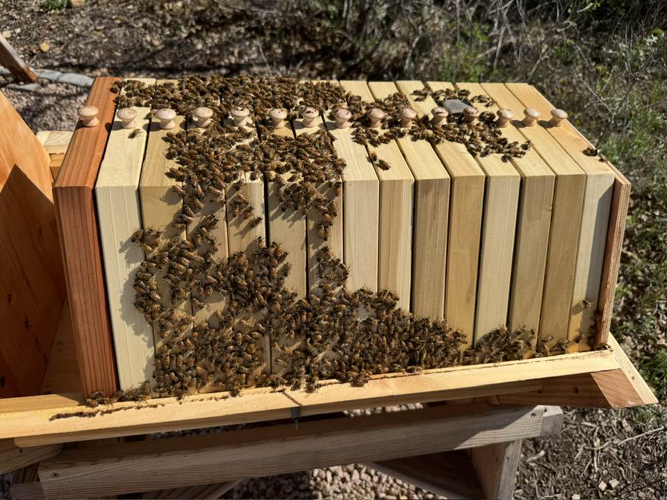 Ivan Misner tweet media