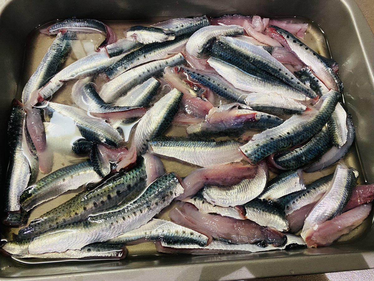 おやさい tweet media