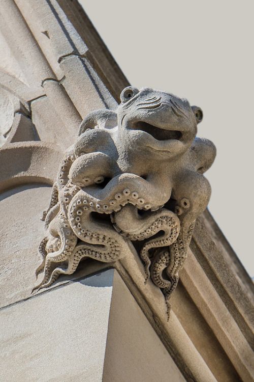 An octopus-shaped gargoyle sculpted from stone on the Washington National Cathedral in Washington, D.C.
