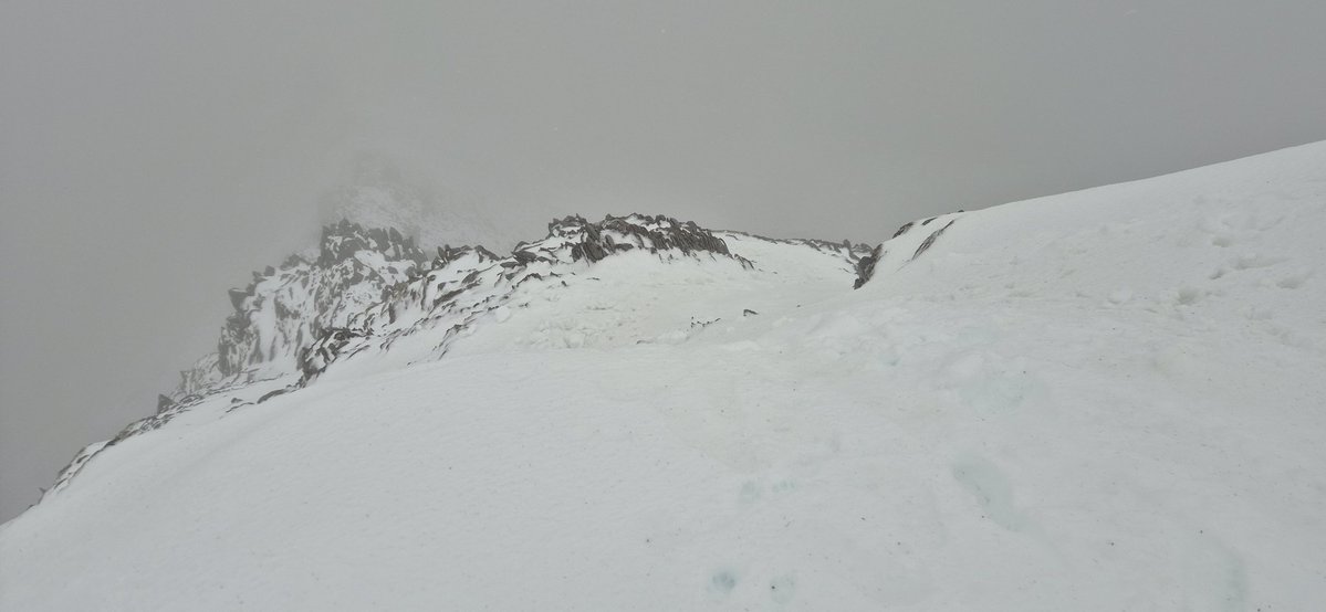 Fell Top Assessors tweet media