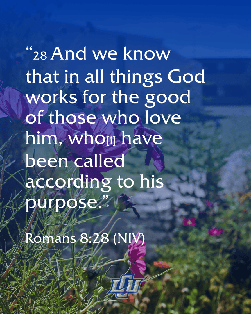 Lubbock Christian University tweet media