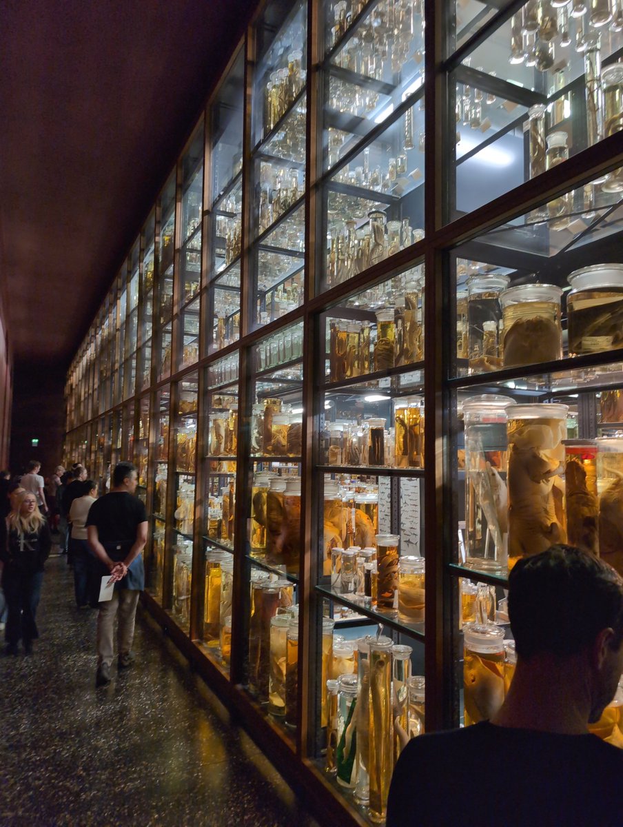 Grzegorz Brzęczyszczykiewicz tweet media