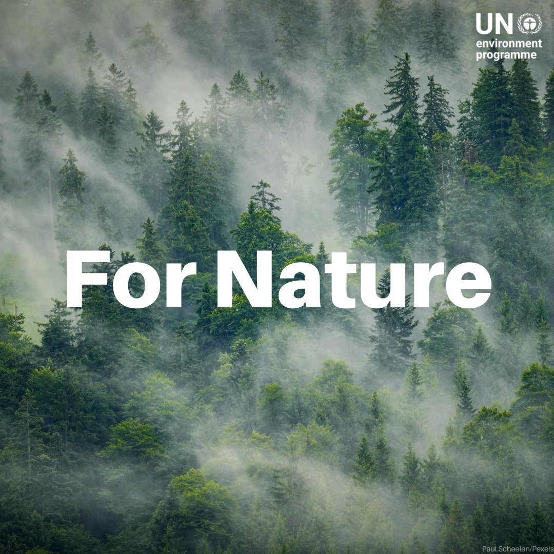 UN Environment Programme tweet media