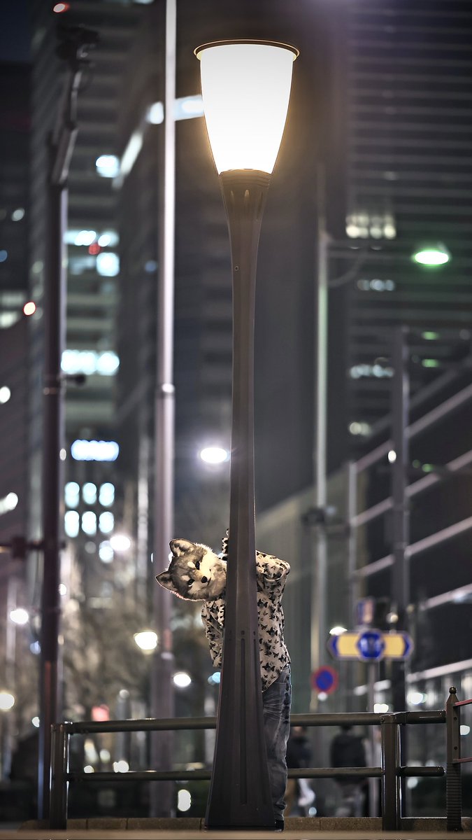 レーヴ・フォグリート (Rêve Foglit)🔰 tweet media