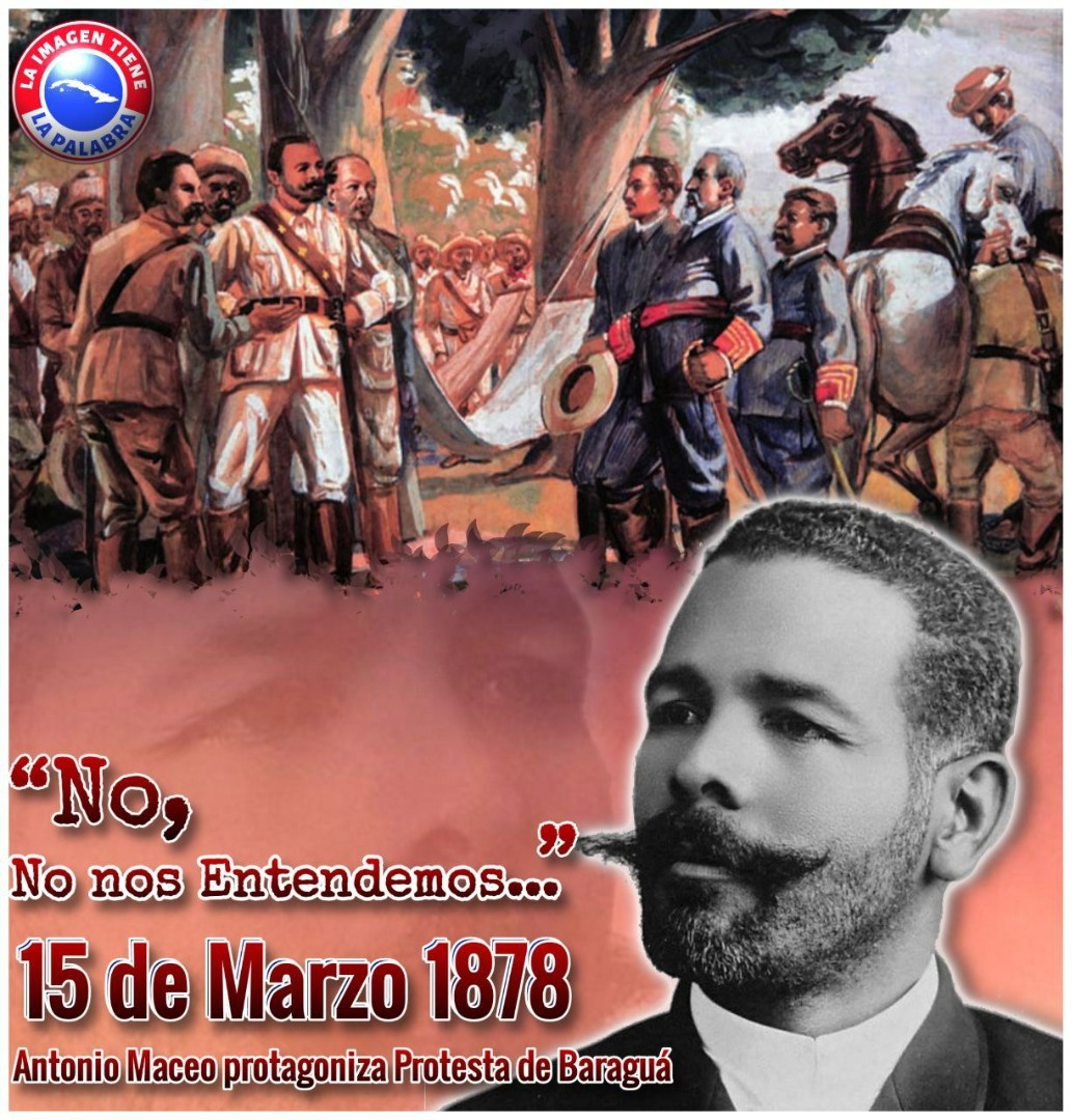 Patriota Cubanita. tweet media