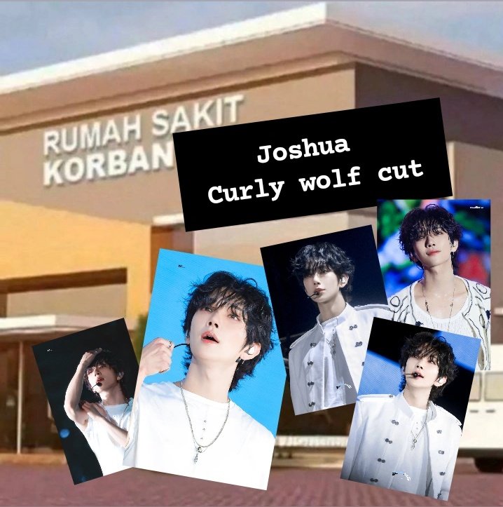 Jujur jiwa joshushushu ini tidak sanggup😭😭😭