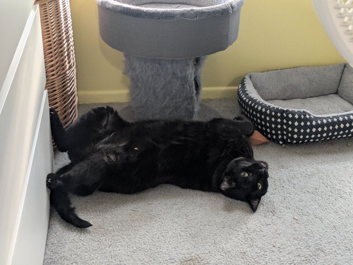 Eholder75 tweet media