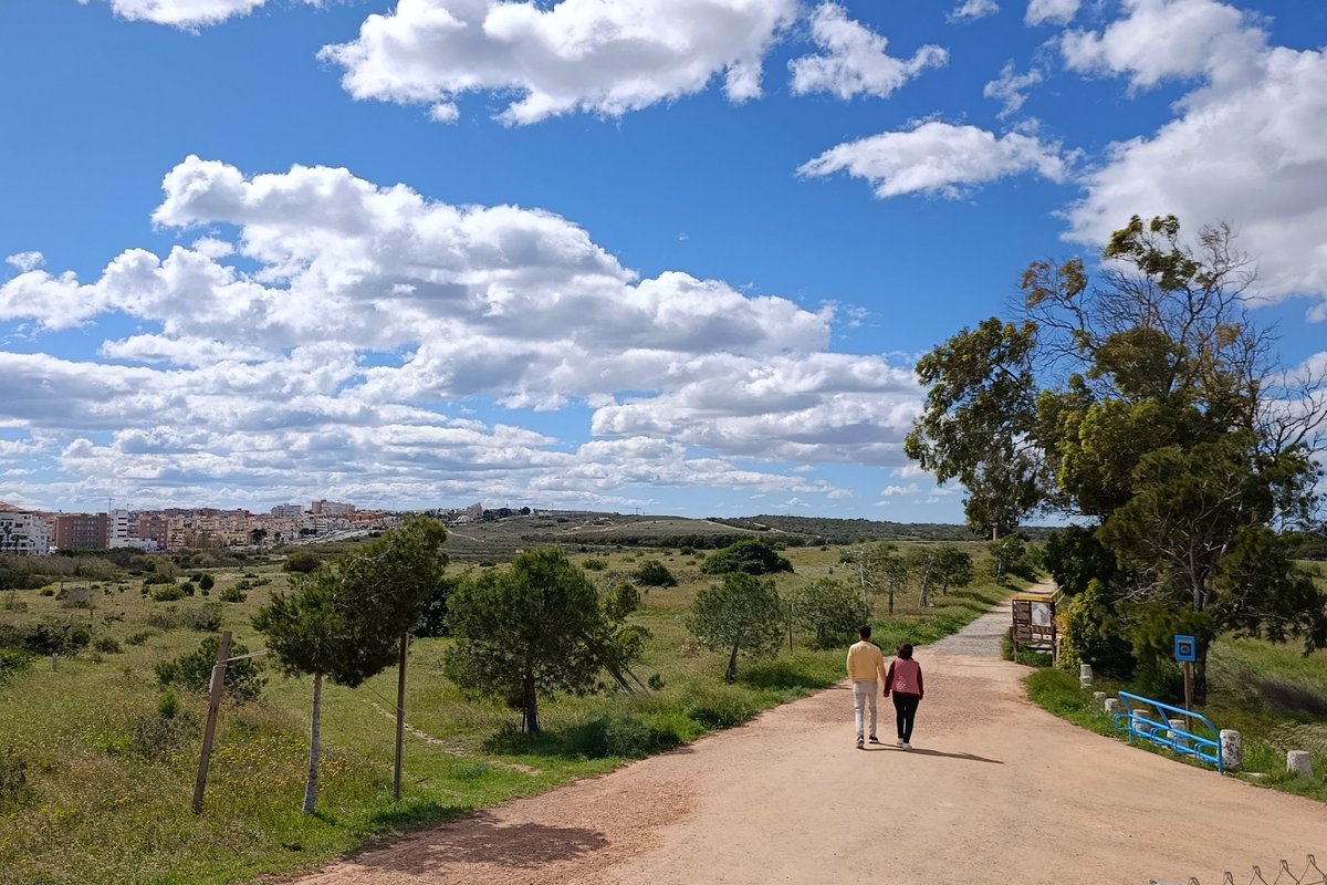 ProyectoMastral's tweet photo. Con algunas nubes, una temperatura de alrededor de 18 °C y rachas de viento que están superando los 50 km/h transcurre este domingo. Así luce este mediodía el entorno de la laguna de La Mata donde este año ya se acumulan más de 100 litros por metro cuadrado de lluvias. https://t.co/2i3wbWmluZ