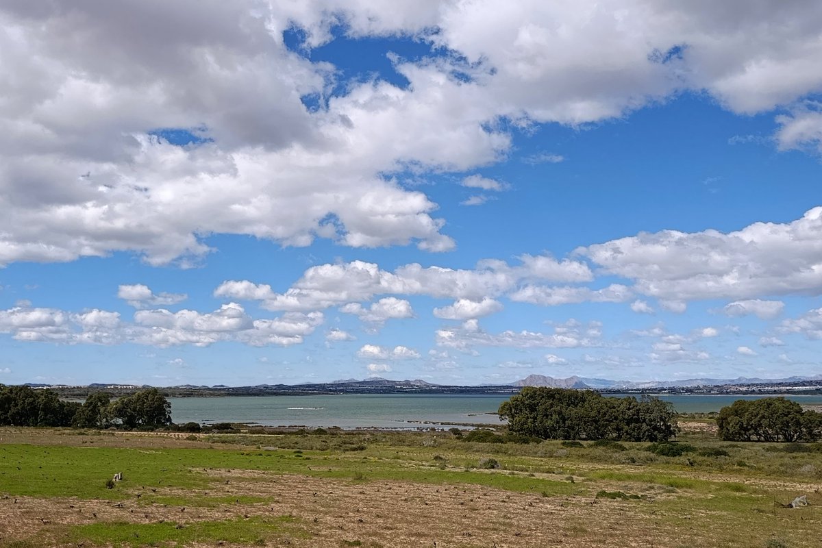 ProyectoMastral's tweet photo. Con algunas nubes, una temperatura de alrededor de 18 °C y rachas de viento que están superando los 50 km/h transcurre este domingo. Así luce este mediodía el entorno de la laguna de La Mata donde este año ya se acumulan más de 100 litros por metro cuadrado de lluvias. https://t.co/2i3wbWmluZ