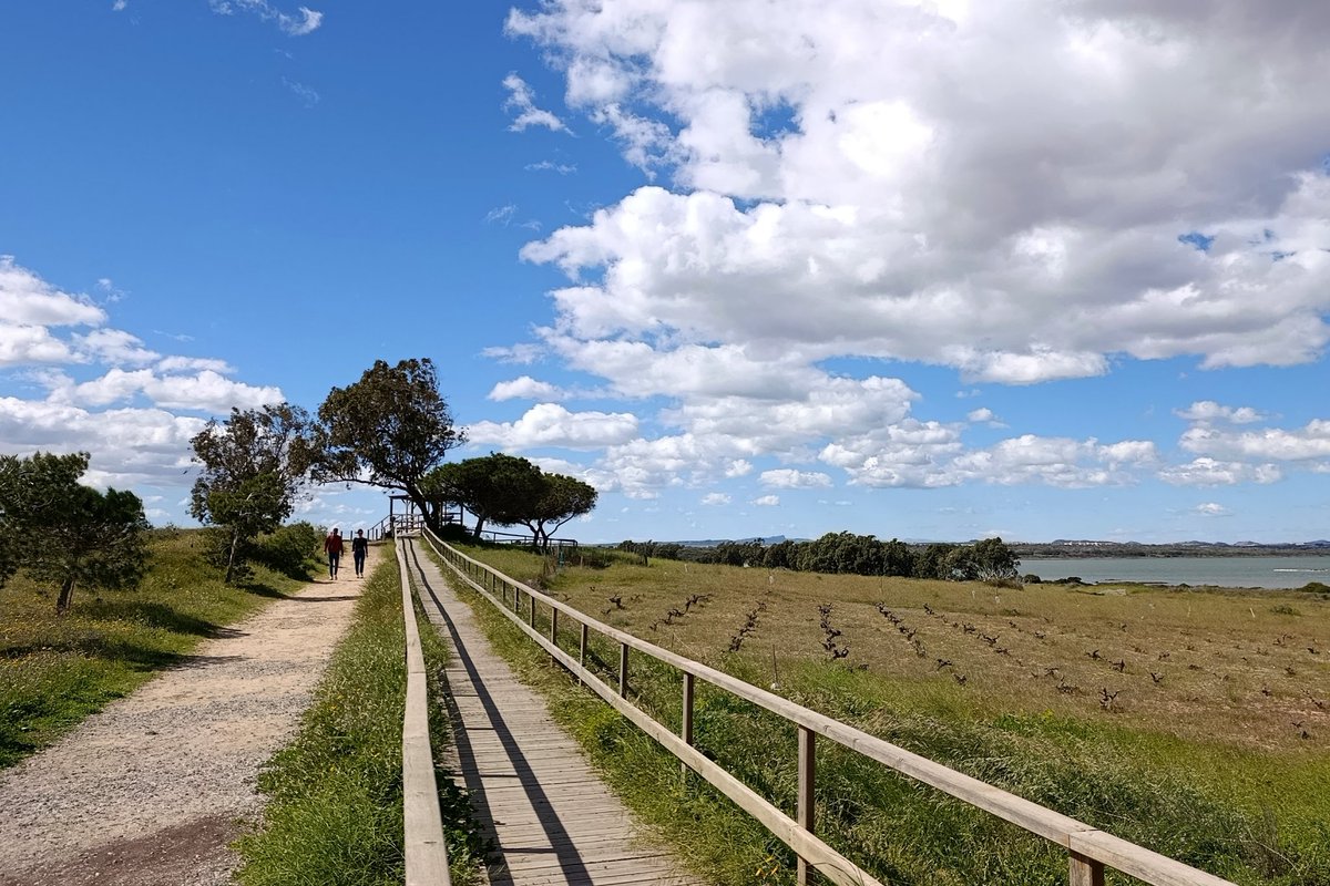 ProyectoMastral's tweet photo. Con algunas nubes, una temperatura de alrededor de 18 °C y rachas de viento que están superando los 50 km/h transcurre este domingo. Así luce este mediodía el entorno de la laguna de La Mata donde este año ya se acumulan más de 100 litros por metro cuadrado de lluvias. https://t.co/2i3wbWmluZ