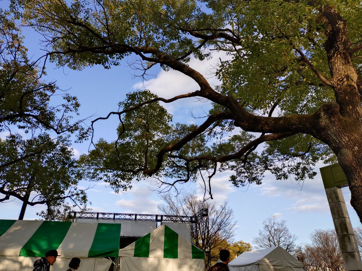 3/14, 15代々木公園で開催された #グリーンアイルランドフェスティバル
今年はお天気に恵まれ、シャムロックステージにてアイリッシュを演奏させて頂きました
たくさんの方にお集まり頂いて嬉しいです。ありがとうございました♡楽しかったです♪